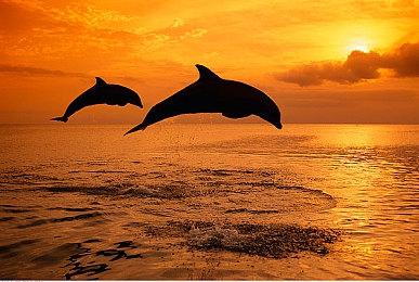 高能预警！《蔑视》独家预告即将亮相B站高能电玩节