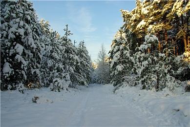 城市建造模拟游戏《再占一岛》 现已在Steam发售
